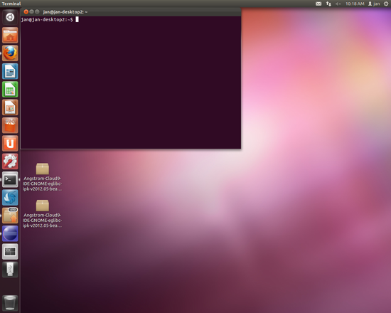 Linux terminal